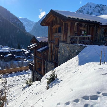 Chalet Des Trappeurs Coeur Vanoise 15 Persons La Plagne Luaran gambar