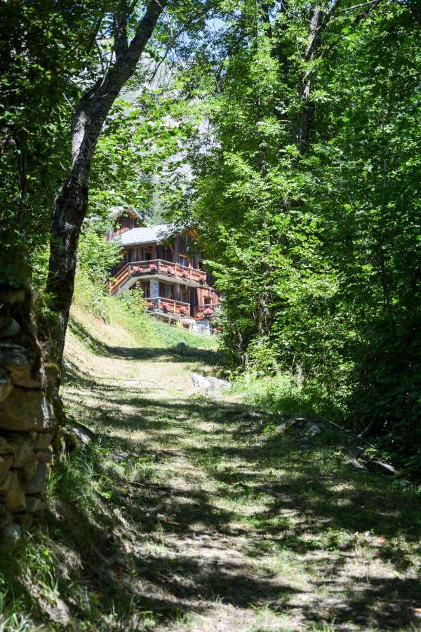 Chalet Des Trappeurs Coeur Vanoise 15 Persons La Plagne Luaran gambar
