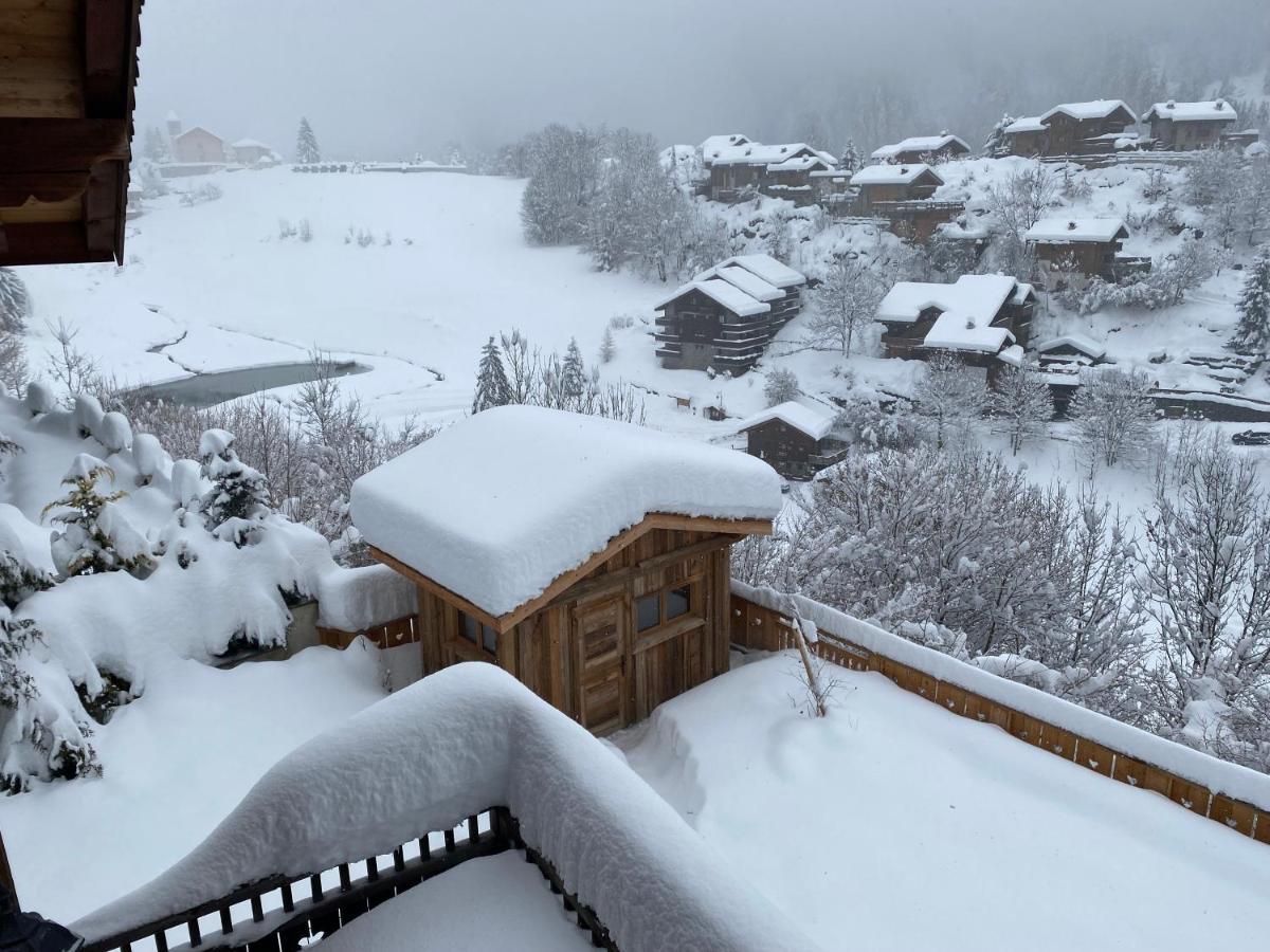 Chalet Des Trappeurs Coeur Vanoise 15 Persons La Plagne Luaran gambar